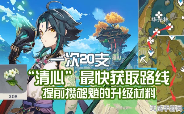 原神甘雨突破必备，清心高效采集路线全揭秘，助你速升战力！