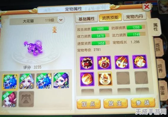 梦幻西游手游，宠物内丹系统深度解析，打造专属神兽秘籍