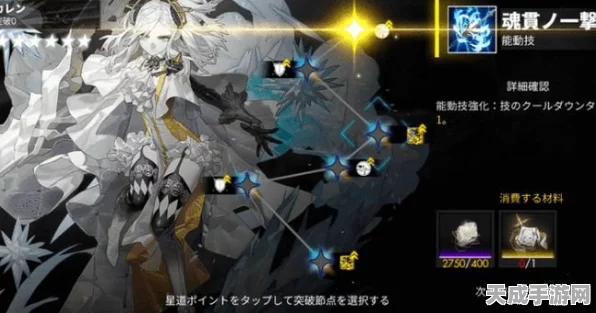白夜极光限定满破全攻略，资源需求与高效策略大揭秘