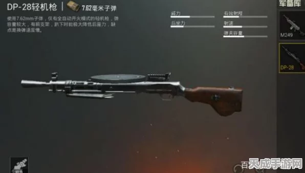 绝地求生刺激战场，揭秘DP28大盘鸡背后的故事与实战资源管理策略