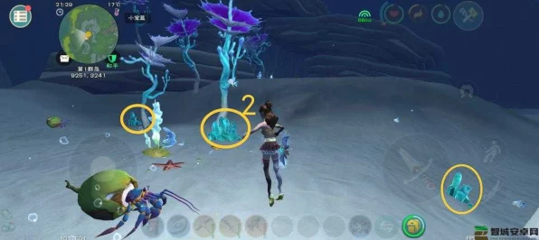 探秘创造与魔法，解锁高效魔法技能，称霸奇幻大陆