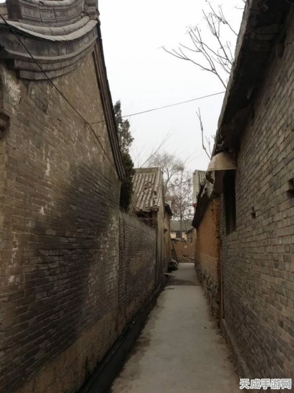 阴阳师探秘，竹林石台线索揭秘与深度玩法攻略