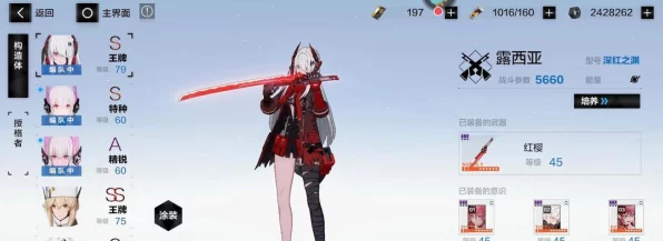战双帕弥什，电光石火武器全解析，属性与实战应用揭秘