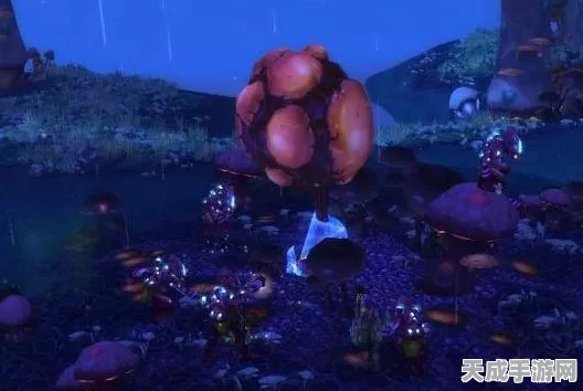 魔兽世界深度攻略，孢子村声望速刷技巧与奖励揭秘