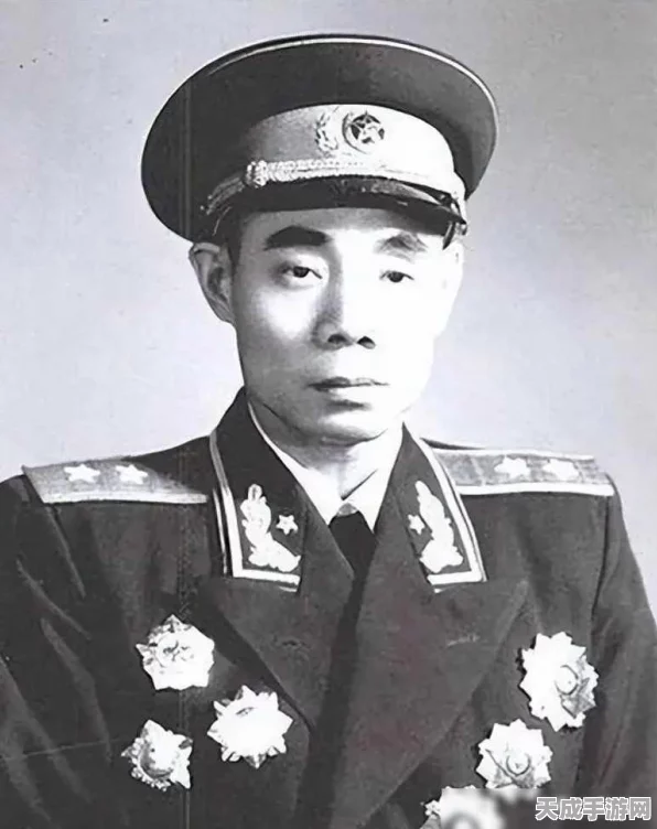 闪烁之光，揭秘风系顶尖阵容搭配策略，登顶竞技之巅！