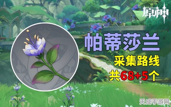 原神玩家必看！帕蒂沙兰高效采集路线全揭秘
