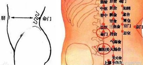元气骑士统领徽章，解锁荣耀与特权的神秘钥匙