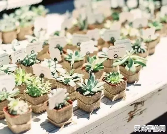 植物大战僵尸，揭秘热门掉落点，速通礼物收集终极攻略