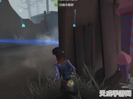 揭秘第五人格躲猫猫玩法，规则详解与策略揭秘