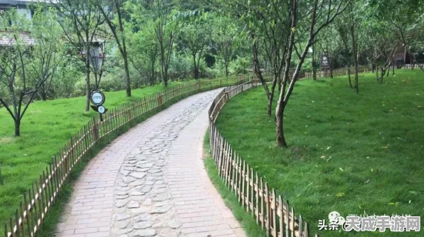 桃源深处有人家，独家揭秘狮子头烹饪大赛制作秘籍
