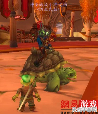 魔兽世界，探寻稀有乌龟坐骑，解锁你的冒险新篇章