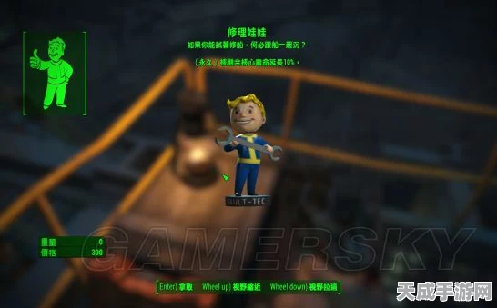 辐射4深度攻略，性别角色选择，打造个性化游戏体验秘籍