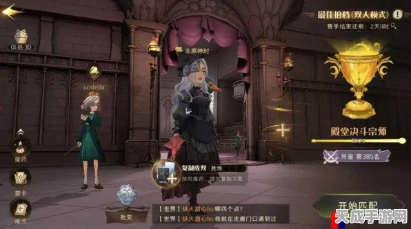 哈利波特魔法觉醒，深度揭秘跨服竞技与数据无缝对接新纪元