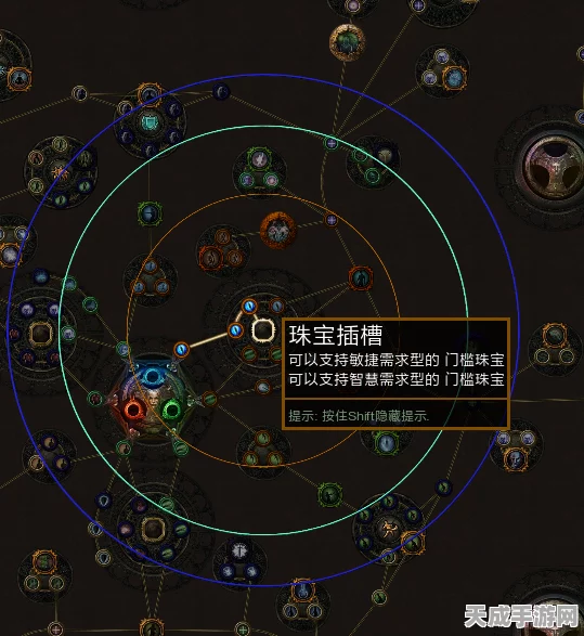 流放之路，苦痛之环红玉戒指深度解析与实战应用