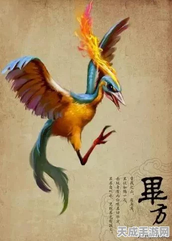妄想山海，解锁元素进化宠毕方，全面攻略助你称霸异兽界