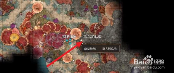 博德之门深度揭秘，极效奥术滋养灵药获取攻略与实战应用