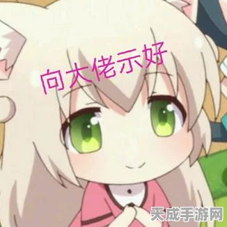 DNF全职业攻略深度剖析，刺客职业赛场绝技与实战策略