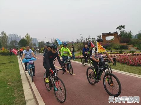 揭秘三国杀传奇，智力属性的多维战场与策略盛宴