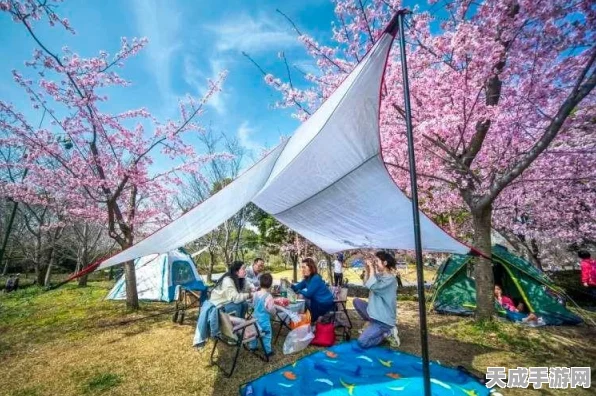 樱花校园新装璀璨登场，绝美汉服大赛即将开启，二次元文化再掀热潮