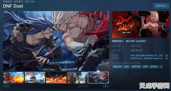 地下城与勇士:决斗Steam隐身之谜，搜索难题与破解之道