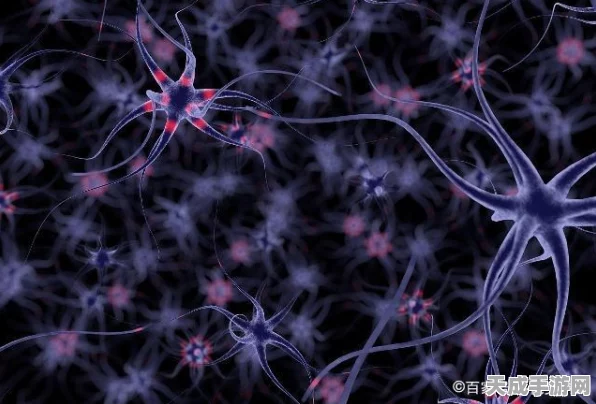 独家揭秘！创造与魔法章鱼食谱全攻略，解锁美味章鱼料理的秘籍