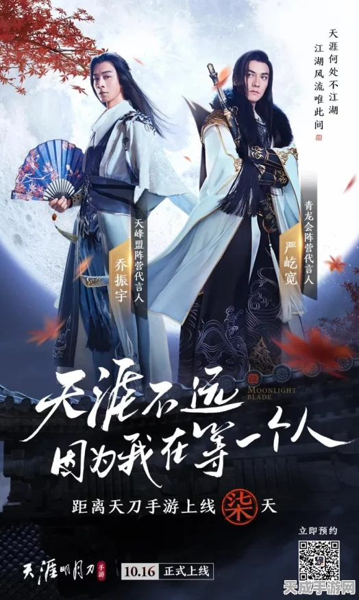 天涯明月刀手游深度攻略，阵营转换系统全揭秘，策略制胜新篇章