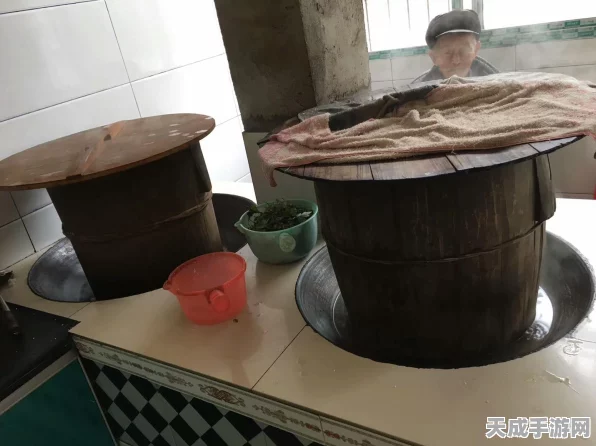 江南百景图，揭秘小木桶获取秘籍，打造梦幻水乡新篇章
