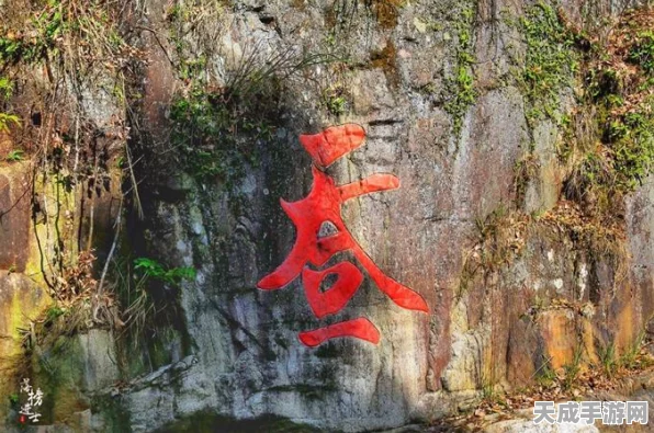 口袋妖怪夙愿，全新探险赛事与奇幻旅程深度揭秘