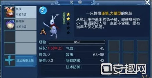 倩女幽魂手游，灵兽养成攻略，打造你的专属战斗伙伴！