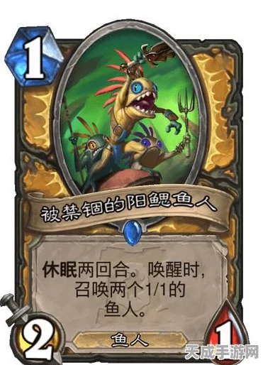 炉石传说凤凰年外域灰烬，顶尖赛事中的强势卡组揭秘