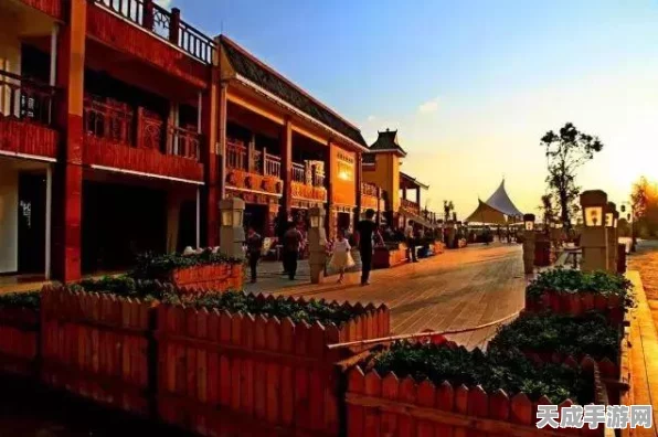 探秘创造与魔法，夕阳花绝美坐标全揭秘