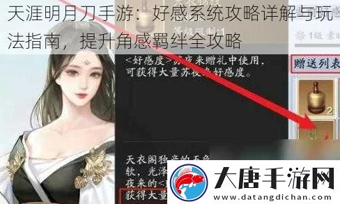 天涯明月刀手游，揭秘伙伴好感度快速提升秘籍，打造最强羁绊！