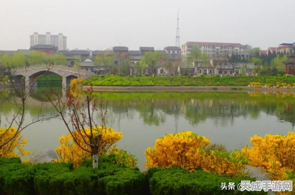 烟雨江湖探秘，南阳渡宝藏全攻略，碎片位置大揭秘