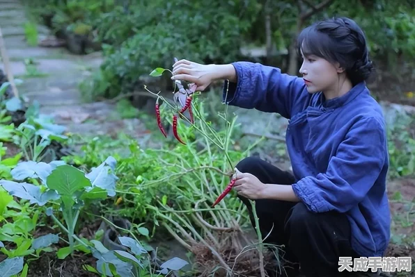 向往的生活手游震撼上线，经典IP再现，打造你的田园牧歌梦想