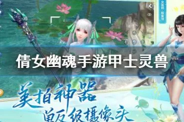 倩女幽魂手游，甲士灵兽搭配攻略，打造战场不败神话
