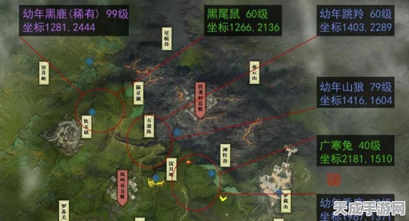 烟雨江湖深度探索，全面揭秘地图物资分布与最新动态