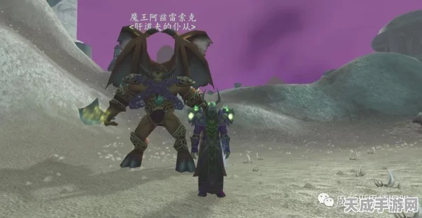 泰拉瑞亚战士饰品指南，打造无敌战士的必备之选