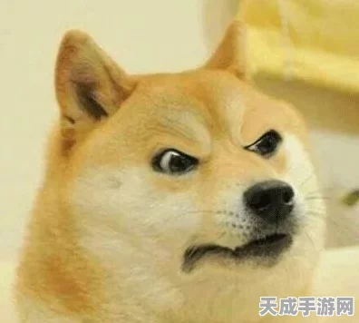 重生细胞手游，揭秘挠挠神秘功能，解锁隐藏关卡秘籍！