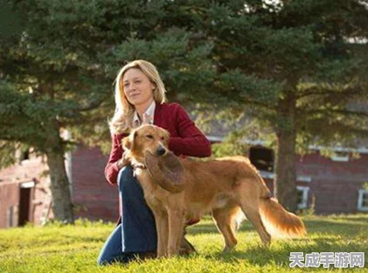 使命召唤手游，揭秘猫狗大作战皮肤获取攻略，赢取萌宠新装！