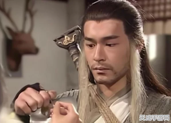 神雕侠侣2珠宝奇缘深度探索，奇遇攻略大揭秘，宝石之旅一触即发