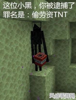 揭秘我的世界手机版，末影龙蛋获取攻略与独家技巧
