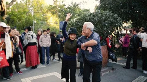 梦幻西游舞林大会深度解析，解锁亚洲舞王秘籍，实战技巧与网友热议全收录