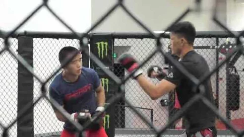 益扎勇闯UFC八角笼，荣耀搏击，震撼对决全记录