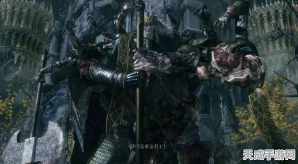艾尔登法环深度探索，宁姆格福全收集攻略大揭秘