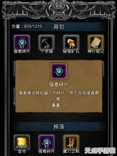 地下城堡2，揭秘冰甲蓝图获取全攻略，打造无敌防御！