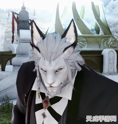FF14玩家福利揭秘，玉藻狐耳获取攻略及限时活动详解