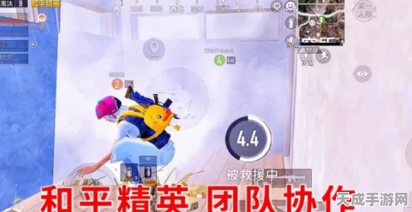 和平精英深度攻略，掌握队友点赞技巧，提升团队协作默契
