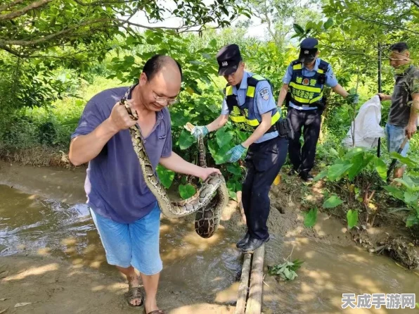 贪吃蛇大作战，顶尖战术揭秘，称霸蛇界的高分秘籍大公开！