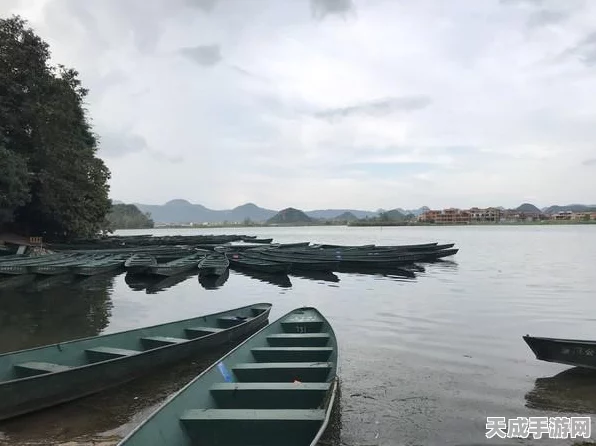 风云岛行动深度解析，风铃儿许愿为何首选1？全面优势揭秘