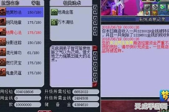 梦幻西游深度揭秘，化圣之路的氪金攻略与修炼宝典